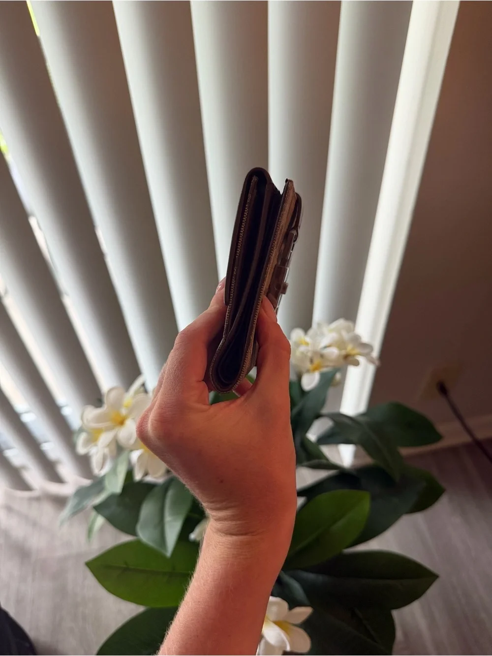 Gucci Brown Monogram Wallet with Silver Hardware